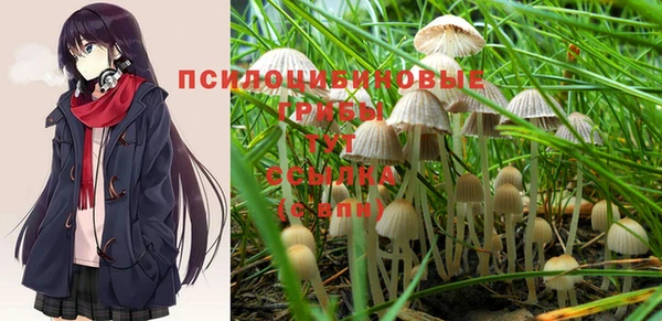 герыч Кинешма