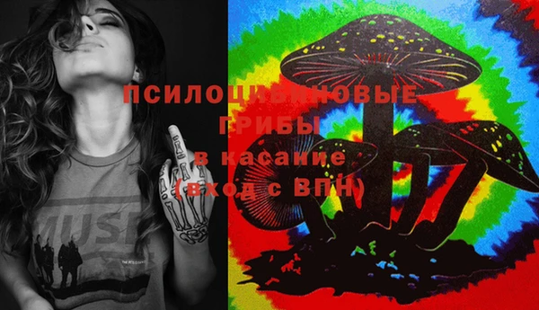mdpv Касимов