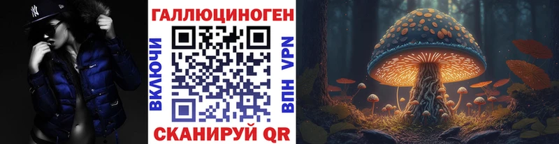 Псилоцибиновые грибы Psilocybine cubensis  Купить где  Макушино 